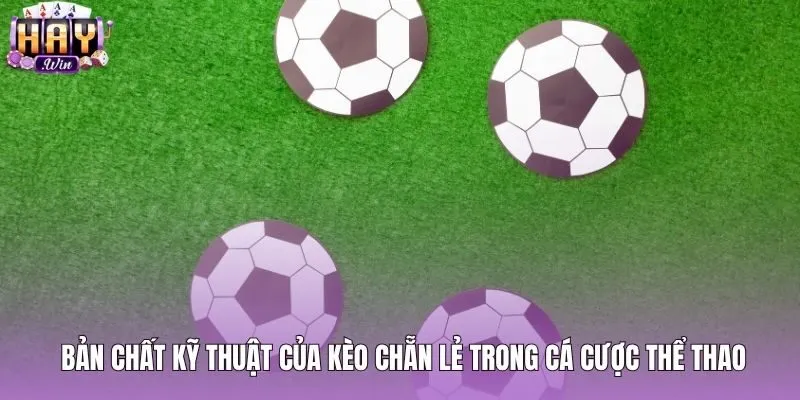 Cơ chế thị trường kèo chẵn lẻ theo cấu trúc nhị phân
