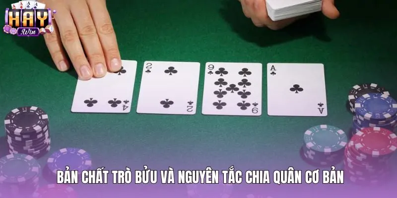Khái niệm bài bửu là gì và nguyên tắc chia bốn lá