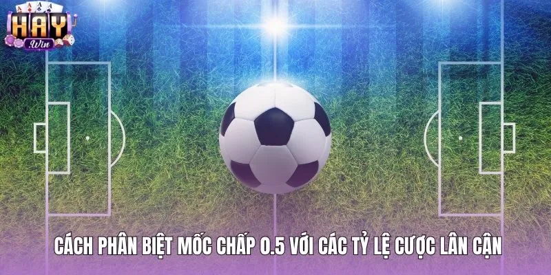 Điểm phân biệt kèo chấp nửa trái với tỷ lệ lân cận