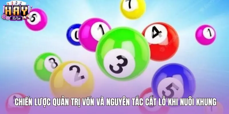 Nguyên tắc vào tiền và cắt lỗ lô khung 3 ngày