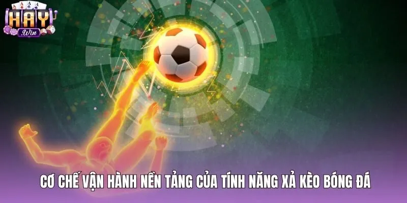 Quy trình định giá tự động khi xả kèo bóng đá