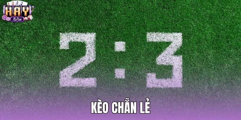 Kèo Chẵn Lẻ - Quy Chuẩn Tính Vé Cược Chi Tiết Tại Haywin