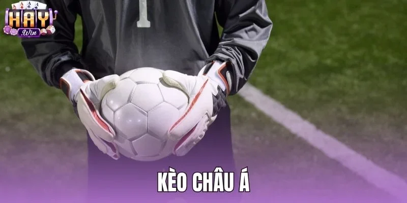 Kèo Châu Á - Hướng Dẫn Đọc Và Tính Tiền Tại Haywin
