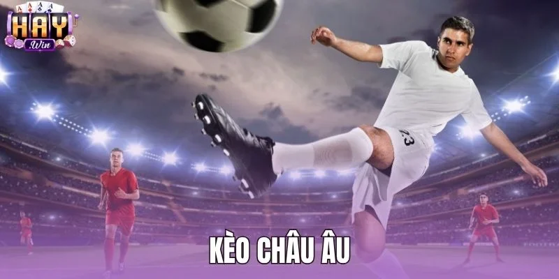 Kèo Châu Âu - Hướng Dẫn Đọc Odds 1X2 Chuẩn Tại Haywin