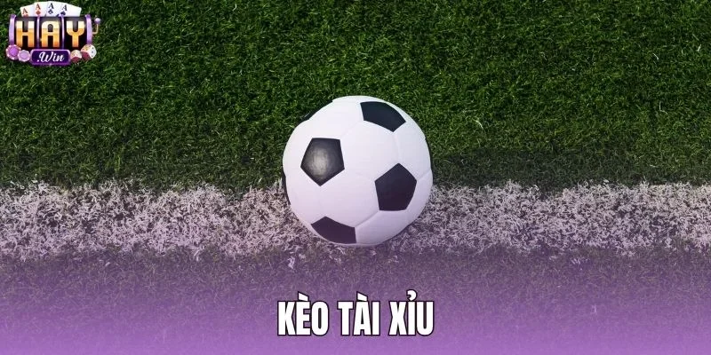 Kèo Tài Xỉu - Cách Đọc Và Tính Tiền Chuẩn Tại Haywin