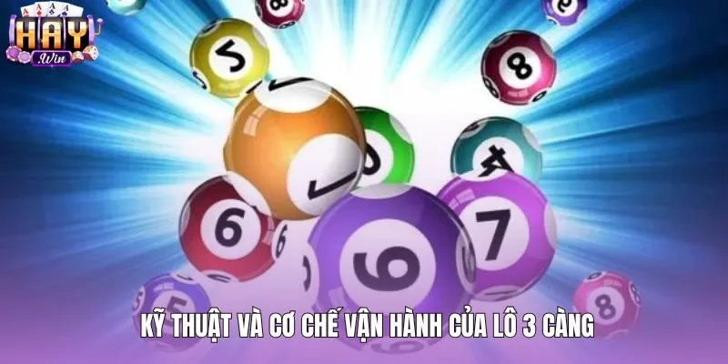 Cơ chế vận hành lô 3 càng cùng quy chuẩn đối soát