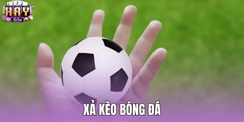 Xả Kèo Bóng Đá - Kỹ Thuật Đóng Vị Thế Cược Tại Haywin