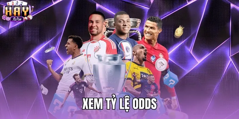 Xem Tỷ Lệ Odds - Cách Đọc Bảng Kèo Chuẩn Xác Tại Haywin